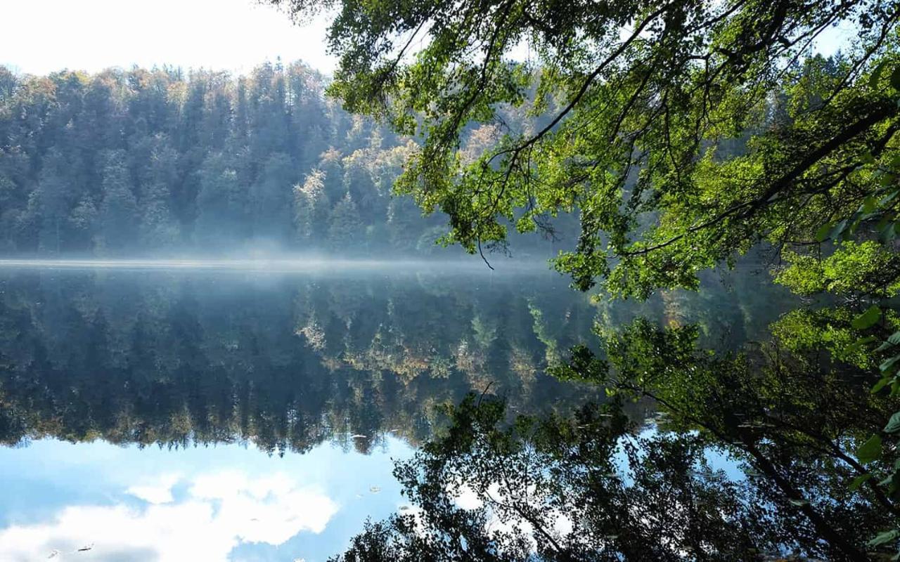 Ferienwohnung In Der Vulkaneifel "Opp Der Holl" Brockscheid Buitenkant foto