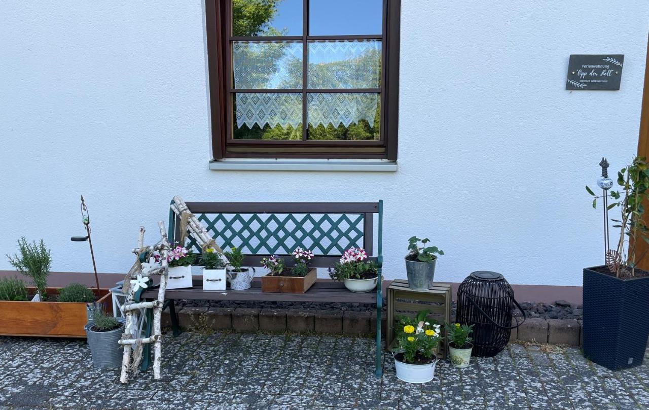 Ferienwohnung In Der Vulkaneifel "Opp Der Holl" Brockscheid Buitenkant foto