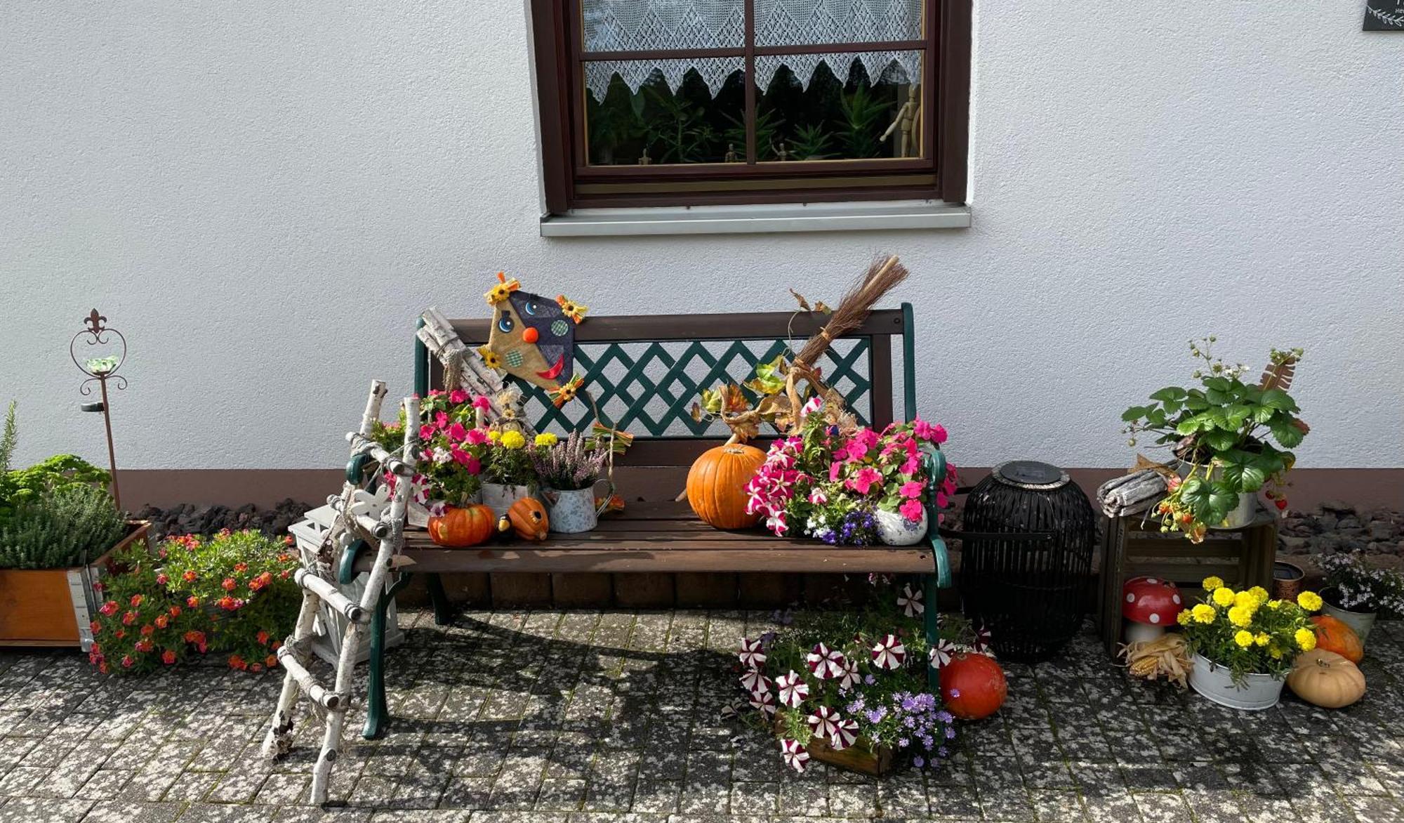 Ferienwohnung In Der Vulkaneifel "Opp Der Holl" Brockscheid Buitenkant foto